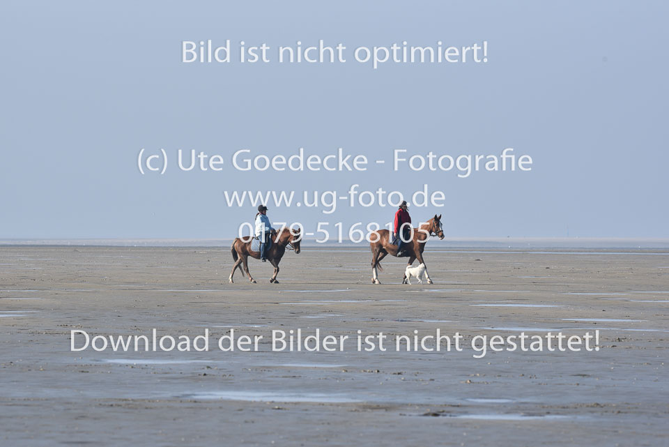 St-Peter-Ording-5-6-_002.jpg