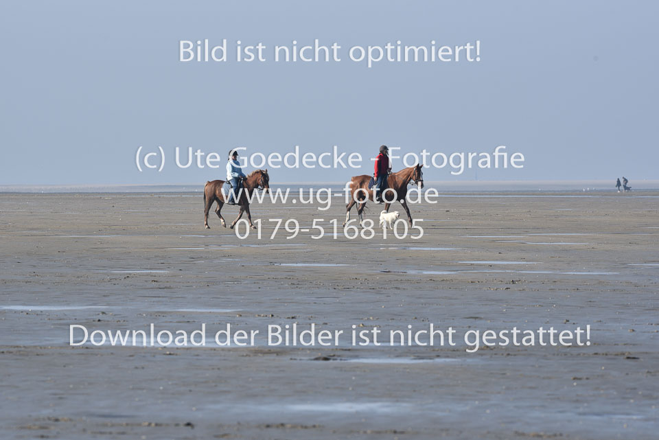 St-Peter-Ording-5-6-_003.jpg