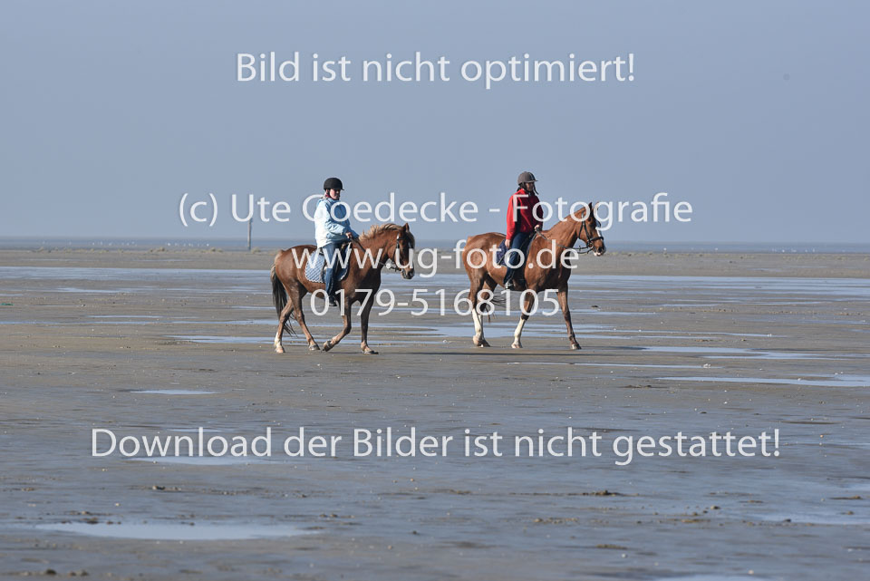 St-Peter-Ording-5-6-_004.jpg
