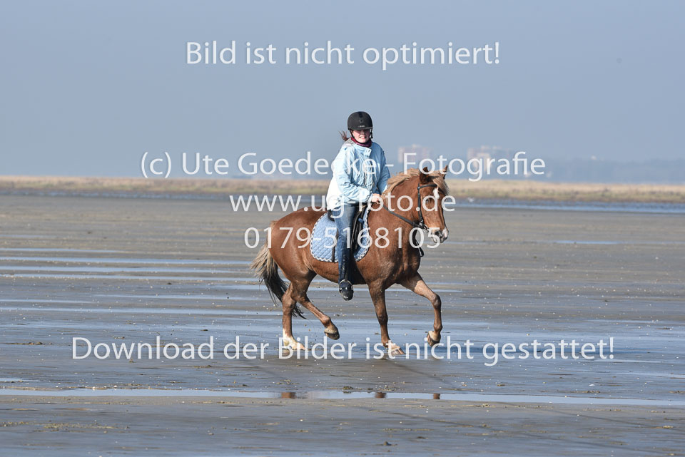 St-Peter-Ording-5-6-_011.jpg