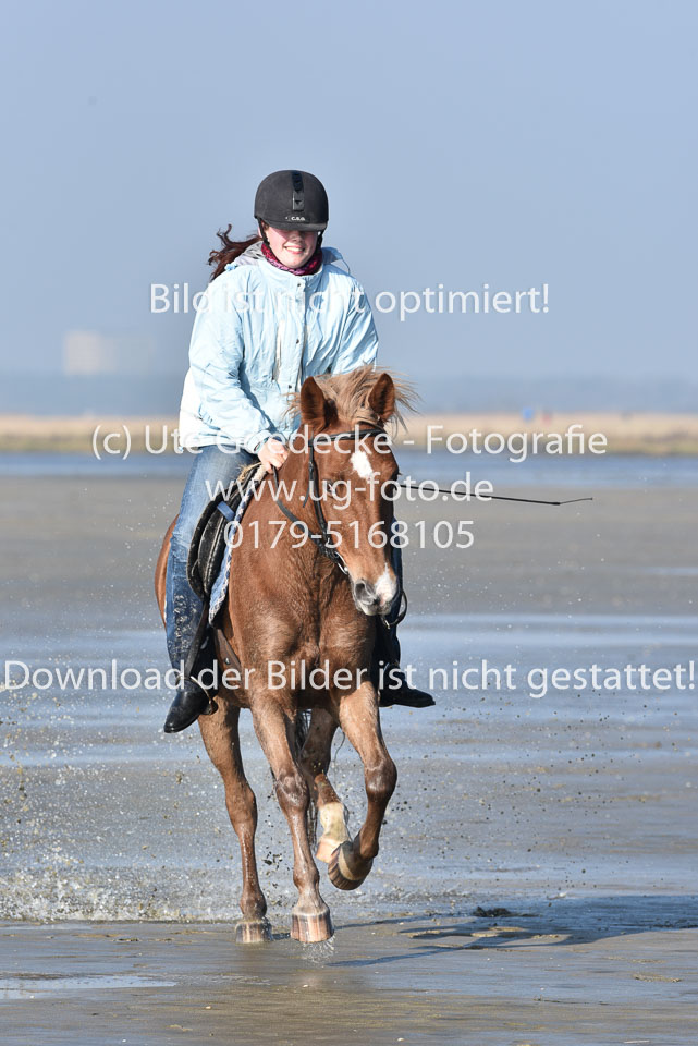 St-Peter-Ording-5-6-_017.jpg