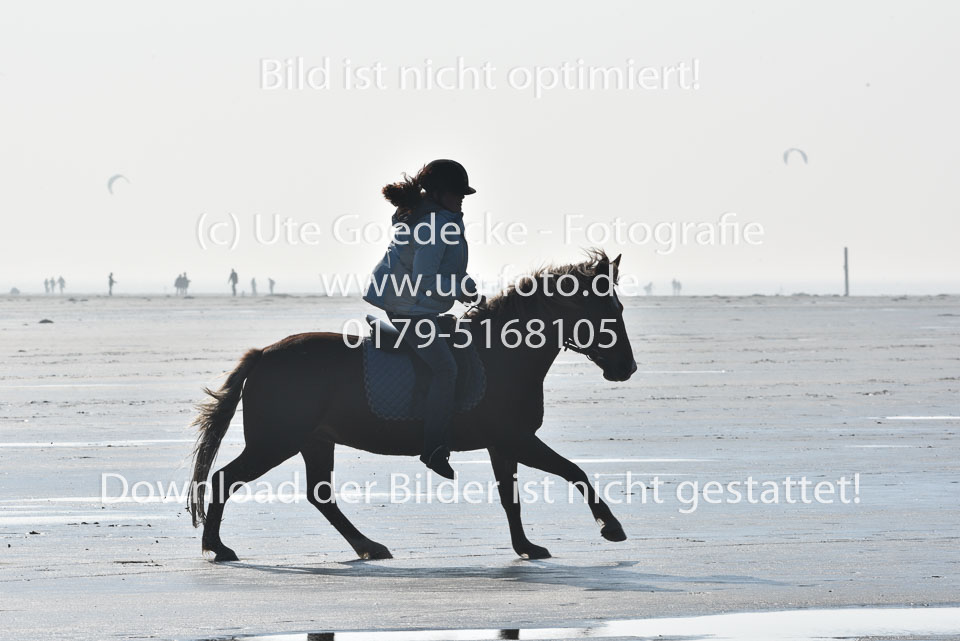 St-Peter-Ording-5-6-_028.jpg