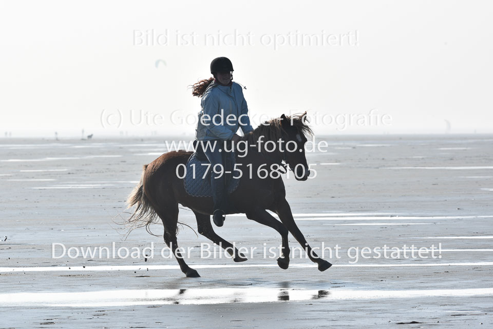 St-Peter-Ording-5-6-_029.jpg