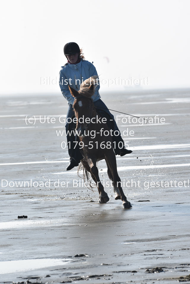 St-Peter-Ording-5-6-_030.jpg