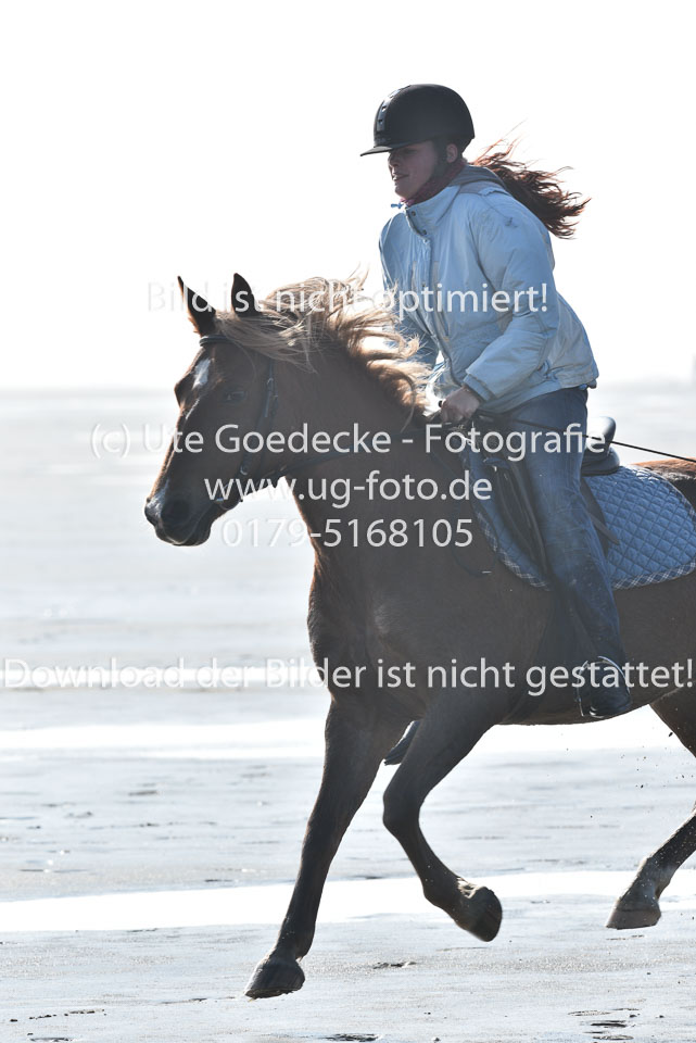 St-Peter-Ording-5-6-_032.jpg