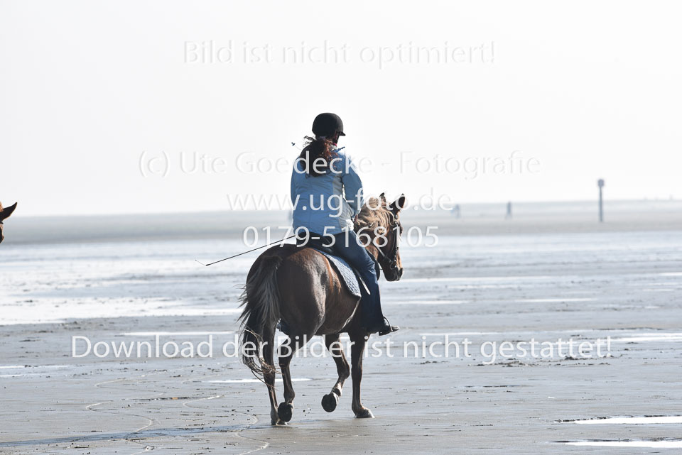 St-Peter-Ording-5-6-_035.jpg