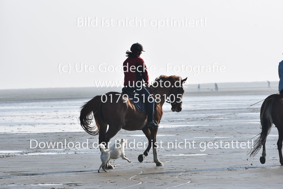 St-Peter-Ording-5-6-_036.jpg