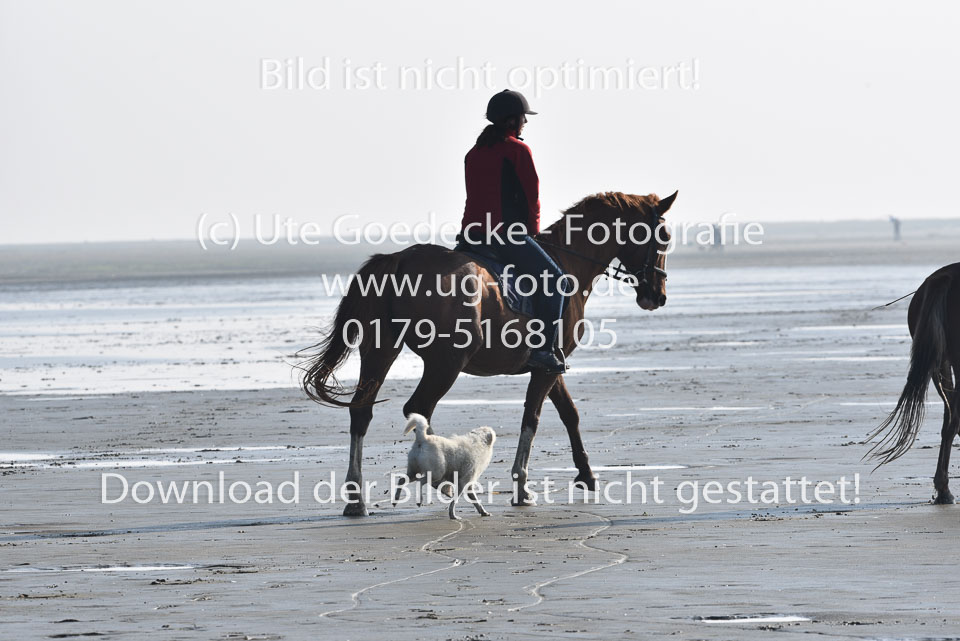 St-Peter-Ording-5-6-_037.jpg