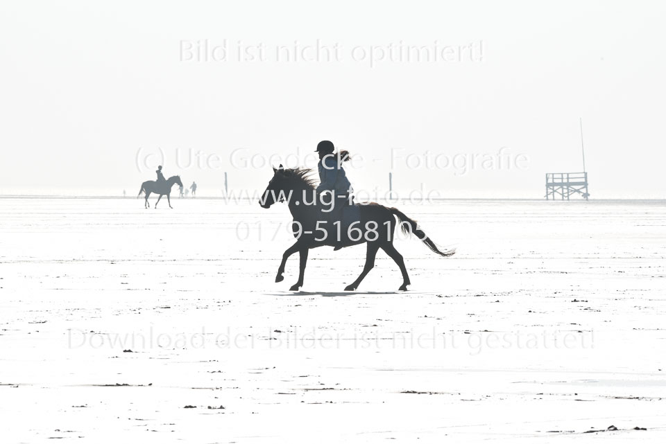 St-Peter-Ording-5-6-_045.jpg