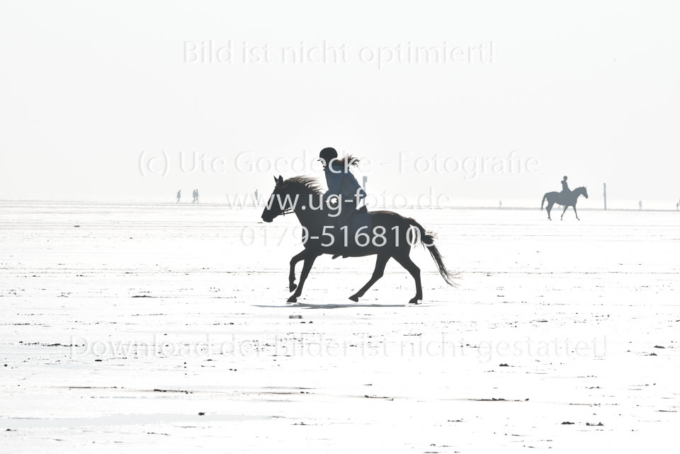 St-Peter-Ording-5-6-_047.jpg