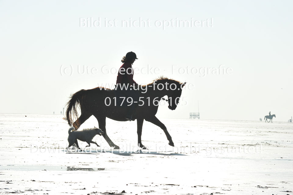 St-Peter-Ording-5-6-_066.jpg