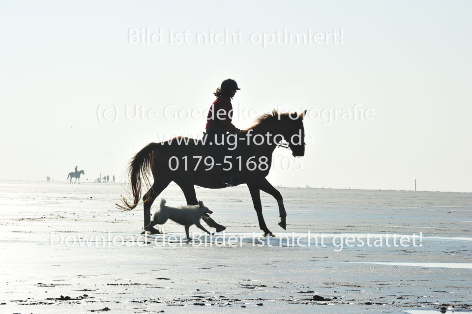 St-Peter-Ording-5-6-_067.jpg