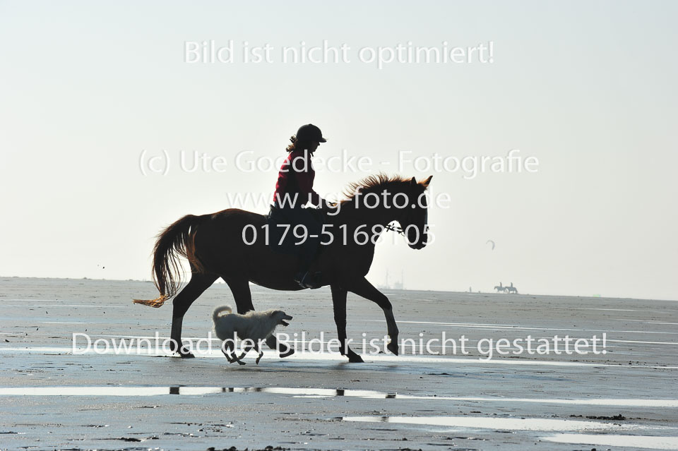 St-Peter-Ording-5-6-_069.jpg