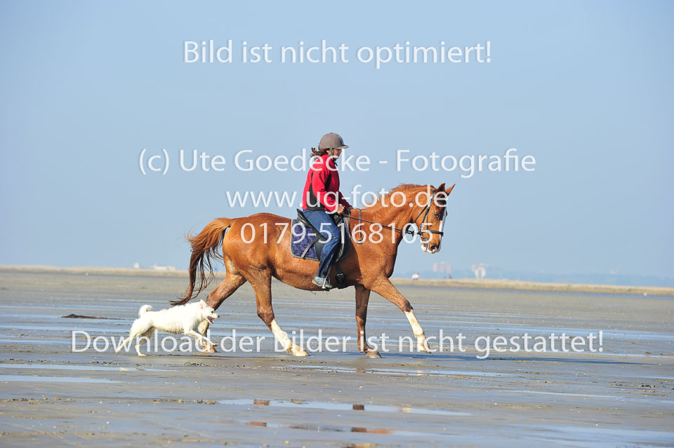 St-Peter-Ording-5-6-_074.jpg
