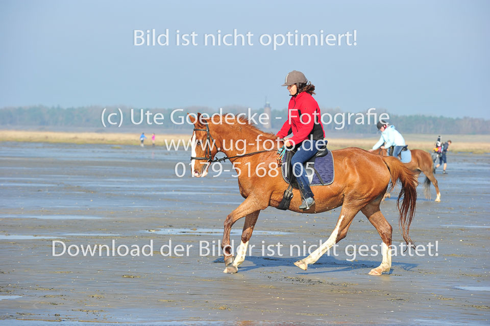 St-Peter-Ording-5-6-_083.jpg