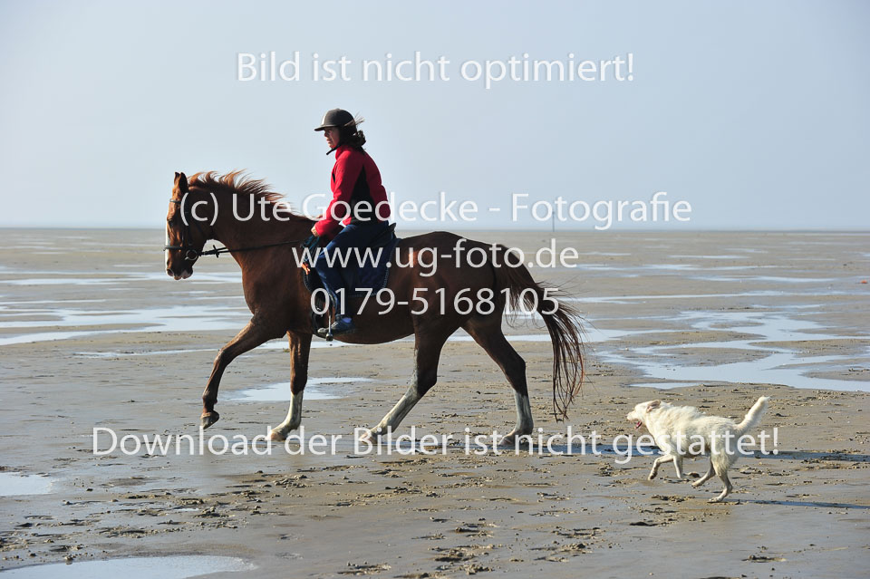 St-Peter-Ording-5-6-_089.jpg