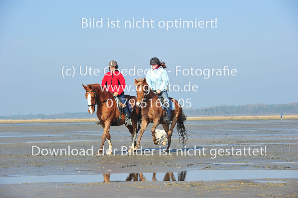 St-Peter-Ording-5-6-_104.jpg