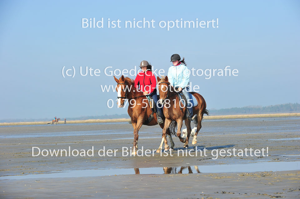 St-Peter-Ording-5-6-_106.jpg