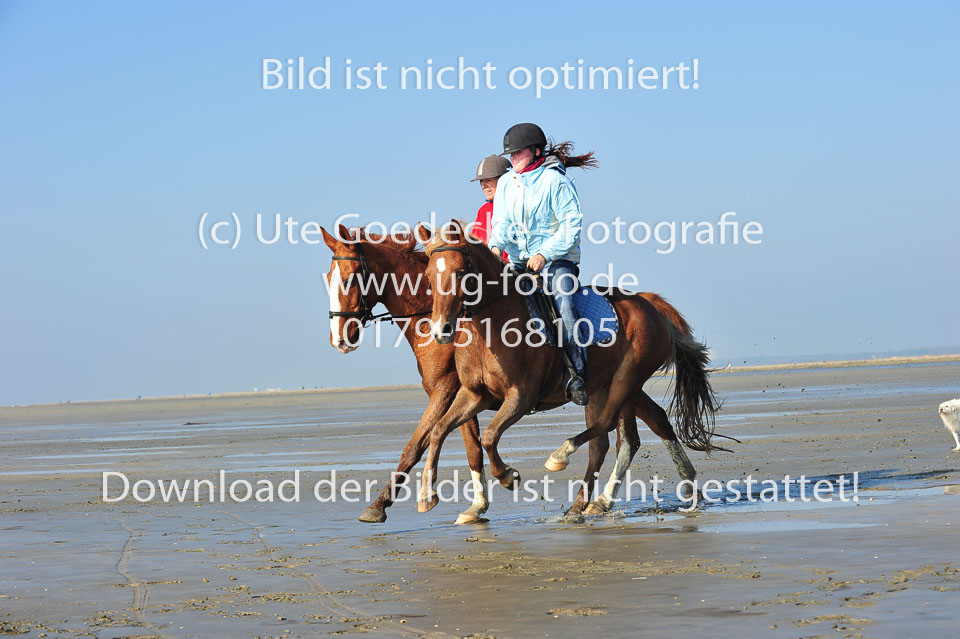 St-Peter-Ording-5-6-_110.jpg