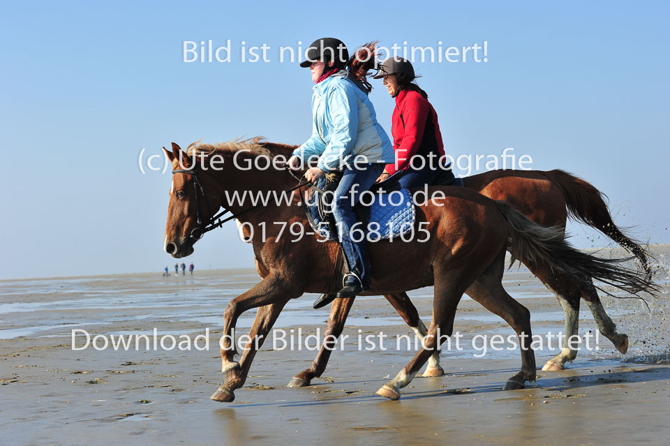 St-Peter-Ording-5-6-_112.jpg
