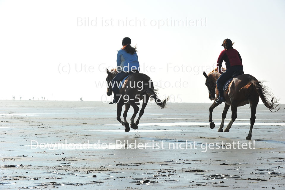 St-Peter-Ording-5-6-_115.jpg