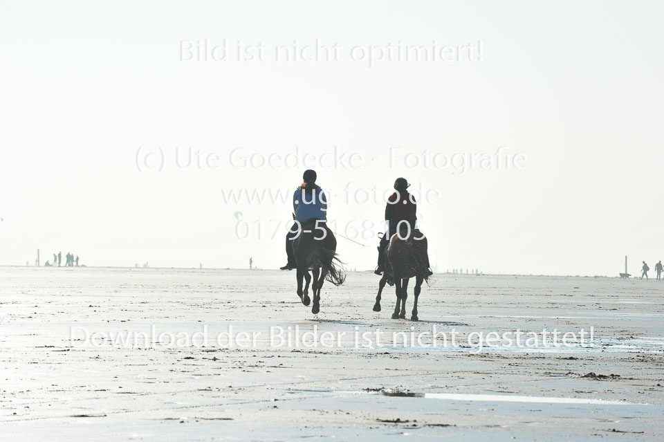 St-Peter-Ording-5-6-_119.jpg