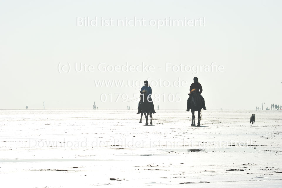 St-Peter-Ording-5-6-_120.jpg