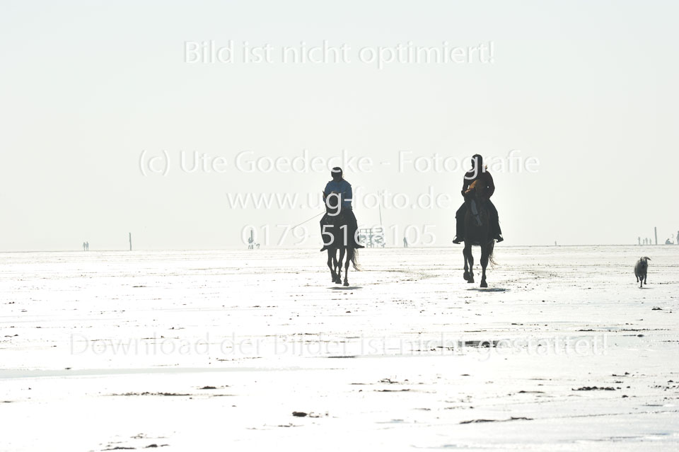 St-Peter-Ording-5-6-_121.jpg