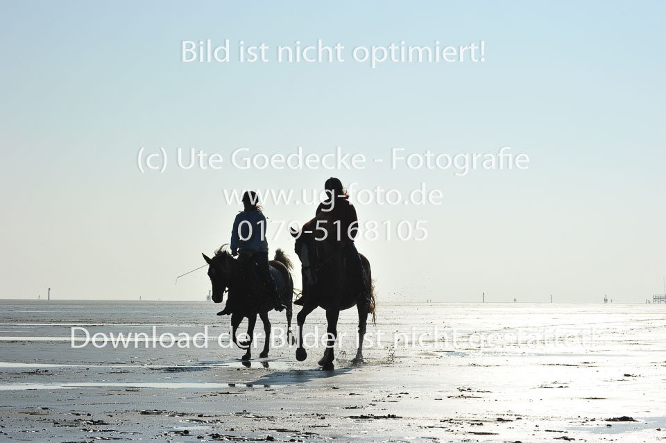 St-Peter-Ording-5-6-_123.jpg