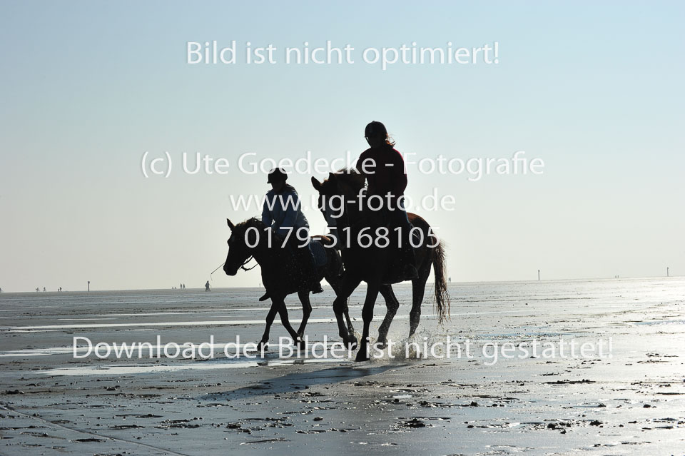 St-Peter-Ording-5-6-_126.jpg