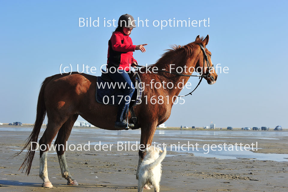 St-Peter-Ording-5-6-_130.jpg