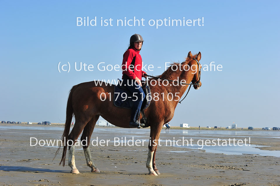 St-Peter-Ording-5-6-_131.jpg