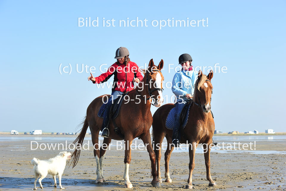 St-Peter-Ording-5-6-_132.jpg