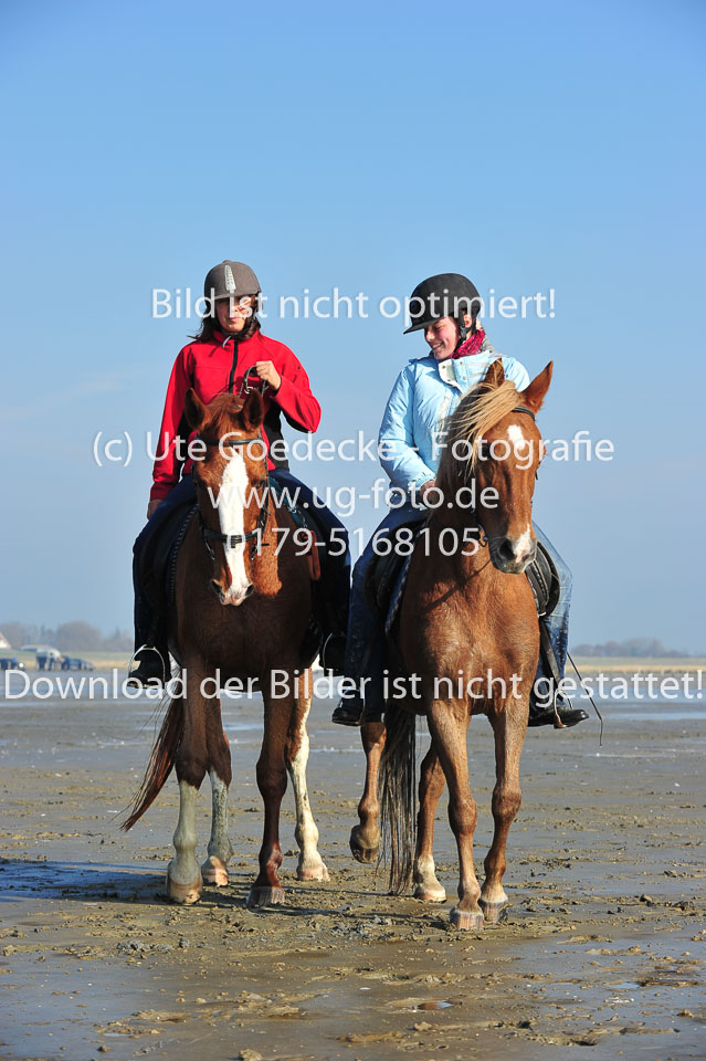 St-Peter-Ording-5-6-_134.jpg