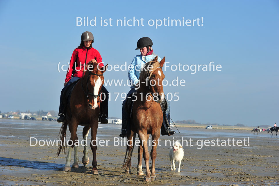 St-Peter-Ording-5-6-_136.jpg