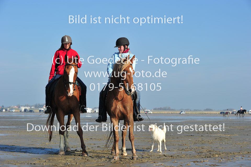 St-Peter-Ording-5-6-_137.jpg