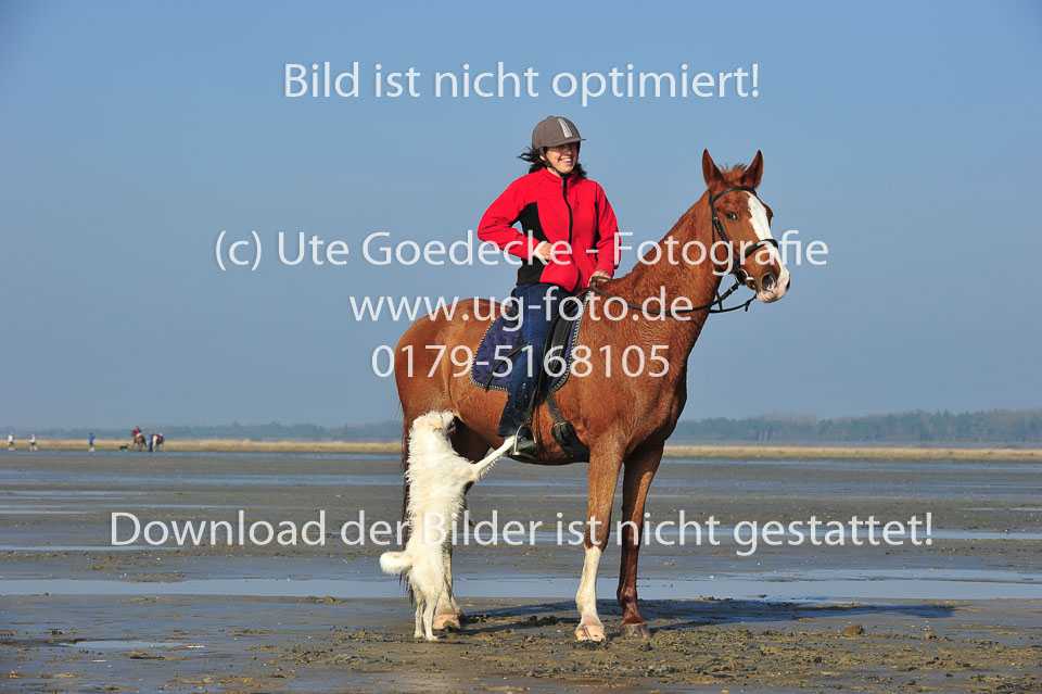 St-Peter-Ording-5-6-_158.jpg