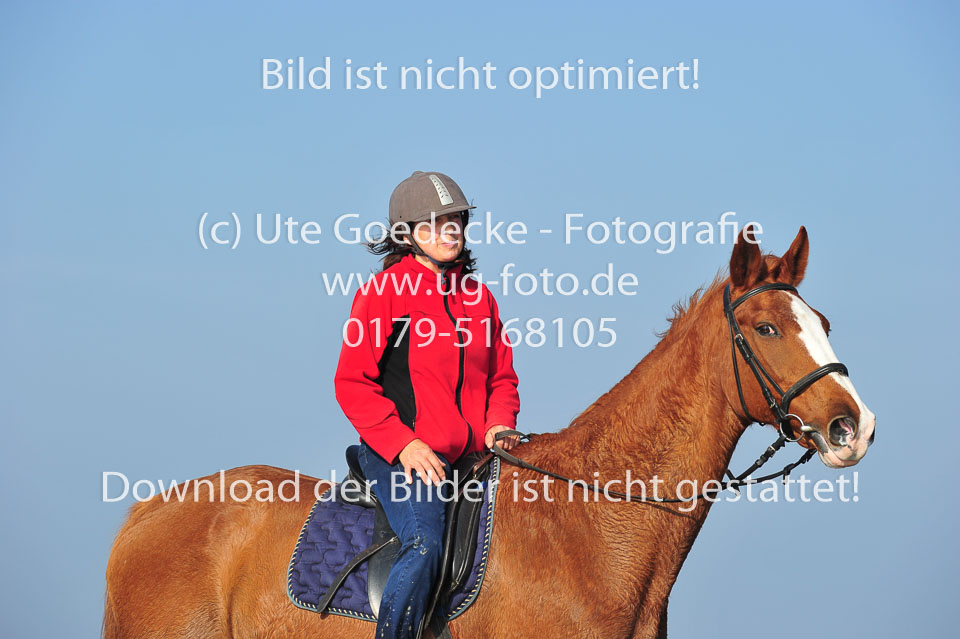 St-Peter-Ording-5-6-_160.jpg
