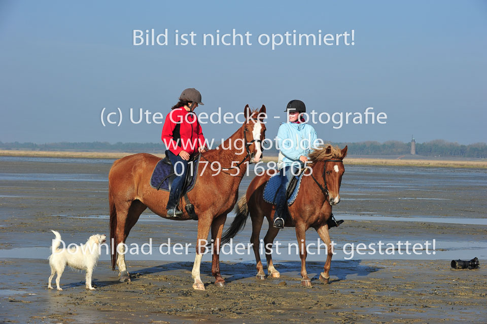 St-Peter-Ording-5-6-_164.jpg