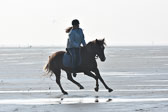 St-Peter-Ording-5-6-_029.jpg