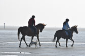 St-Peter-Ording-5-6-_038.jpg