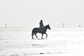 St Peter Ording 5+6