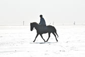St-Peter-Ording-5-6-_040.jpg