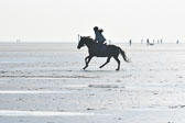 St-Peter-Ording-5-6-_048.jpg