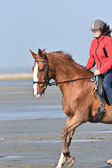 St-Peter-Ording-5-6-_062.jpg