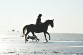 St-Peter-Ording-5-6-_067.jpg