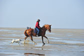 St-Peter-Ording-5-6-_070.jpg