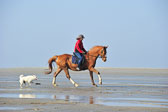 St-Peter-Ording-5-6-_071.jpg