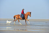 St-Peter-Ording-5-6-_072.jpg