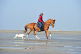 St Peter Ording 5+6